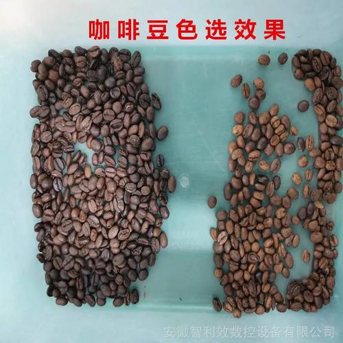 小型生熟咖啡豆杂色筛选机咖啡鲜果分选设备选豆子机器精选机工厂直销